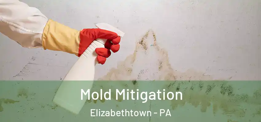 Mold Mitigation Elizabethtown - PA