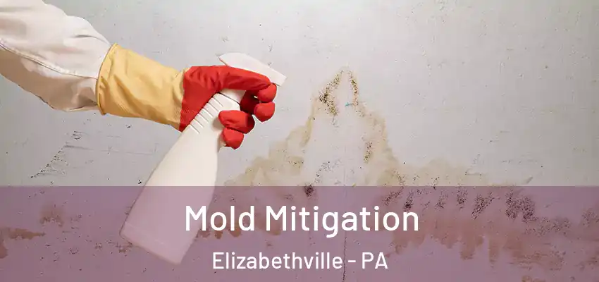 Mold Mitigation Elizabethville - PA