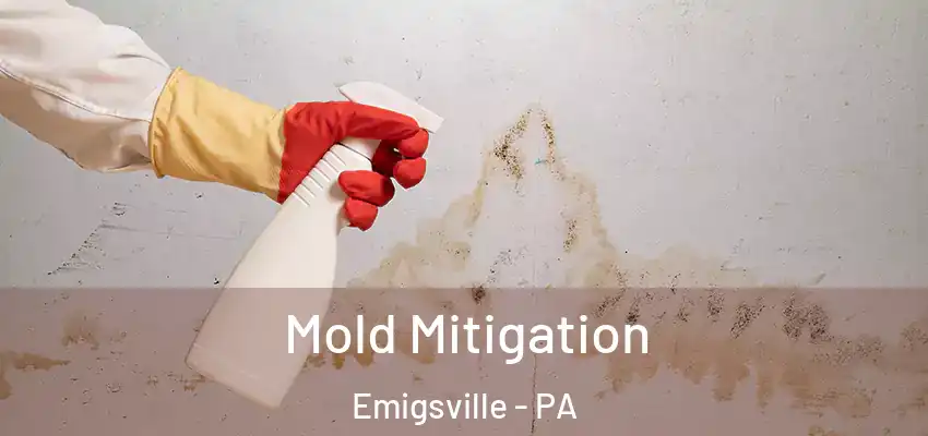 Mold Mitigation Emigsville - PA
