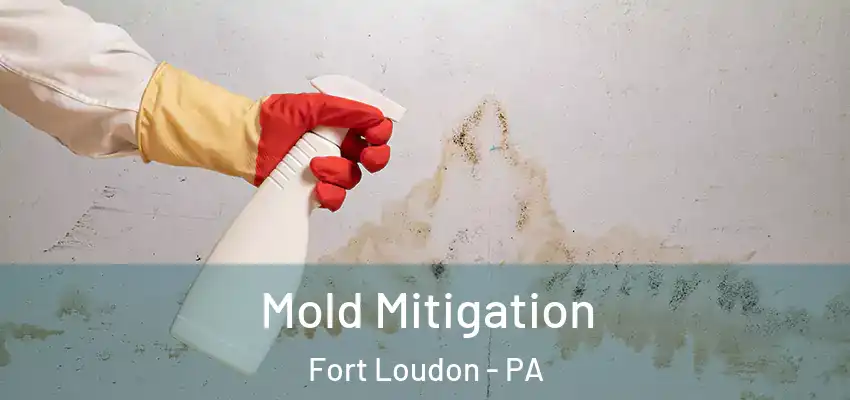  Mold Mitigation Fort Loudon - PA