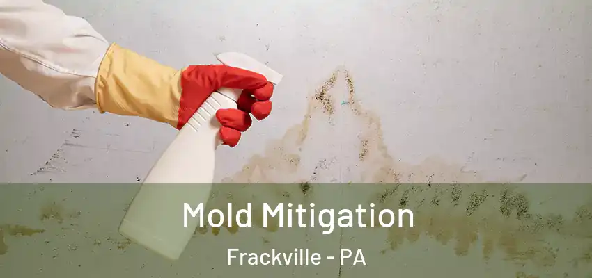  Mold Mitigation Frackville - PA