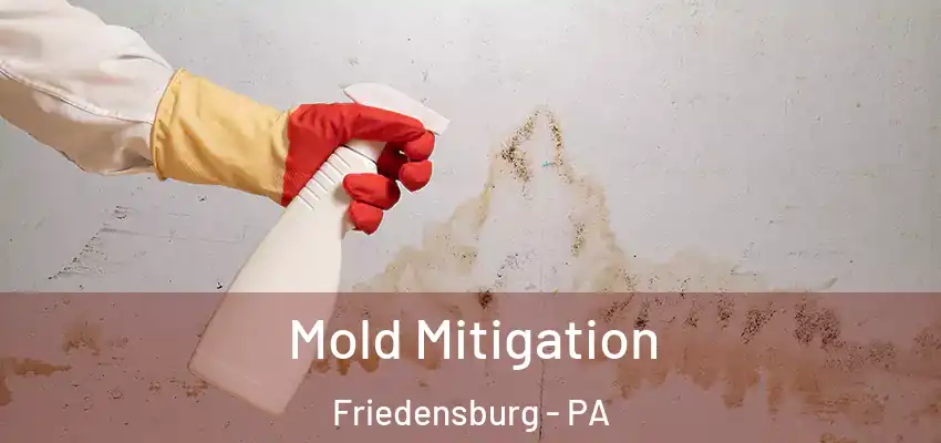  Mold Mitigation Friedensburg - PA