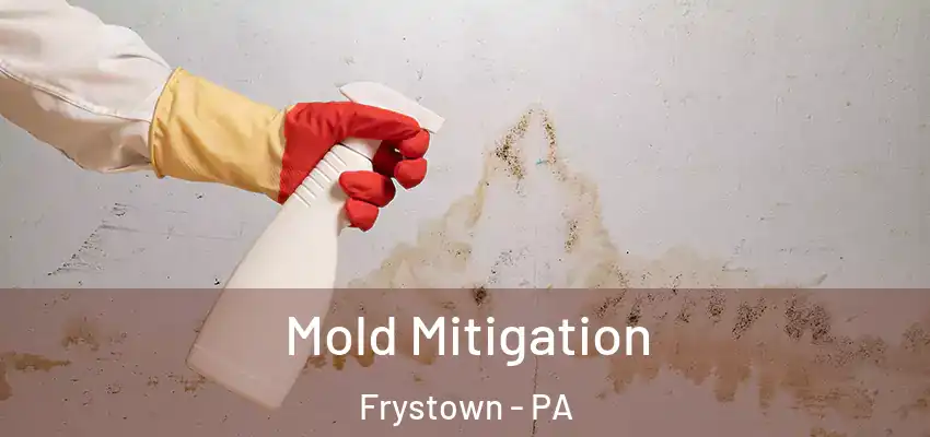  Mold Mitigation Frystown - PA