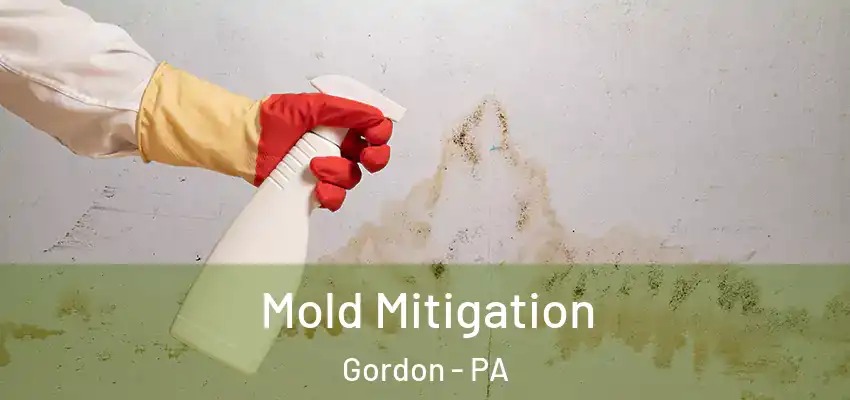 Mold Mitigation Gordon - PA