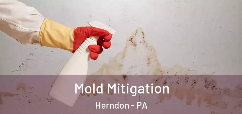 Mold Mitigation Herndon - PA