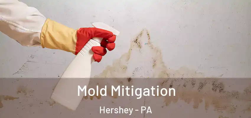 Mold Mitigation Hershey - PA