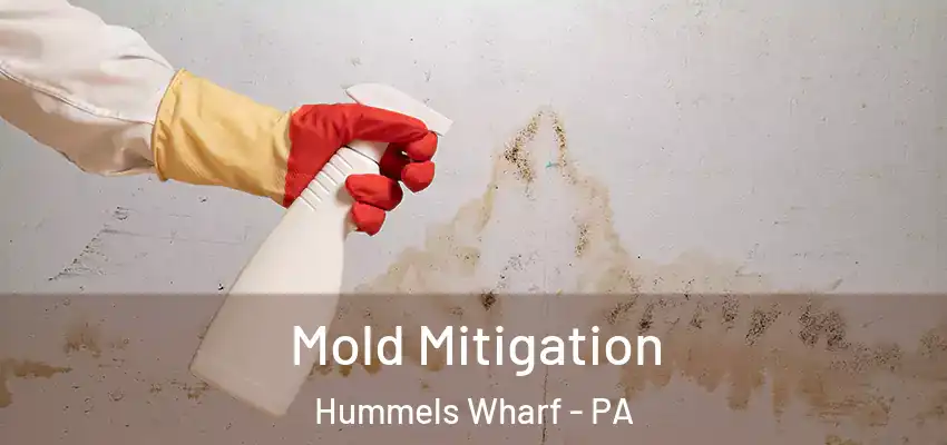  Mold Mitigation Hummels Wharf - PA