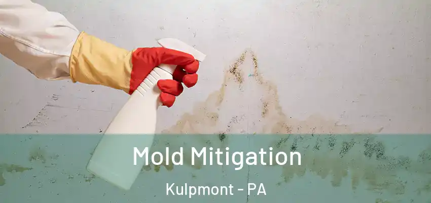 Mold Mitigation Kulpmont - PA