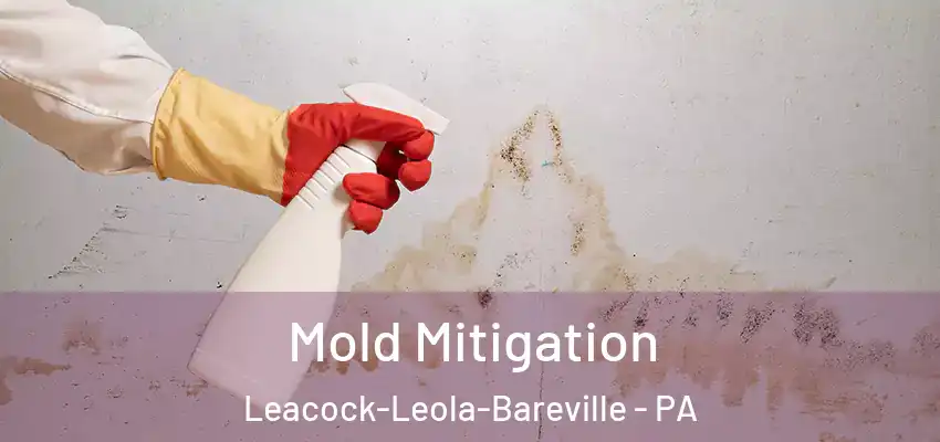  Mold Mitigation Leacock-Leola-Bareville - PA