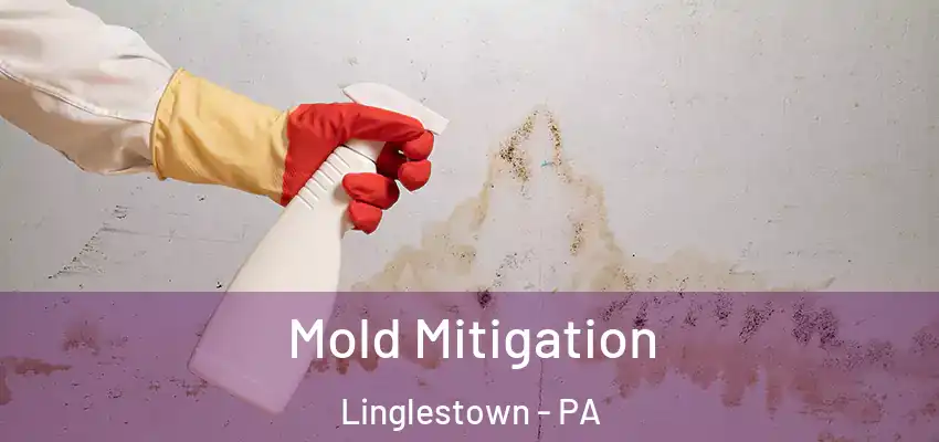 Mold Mitigation Linglestown - PA