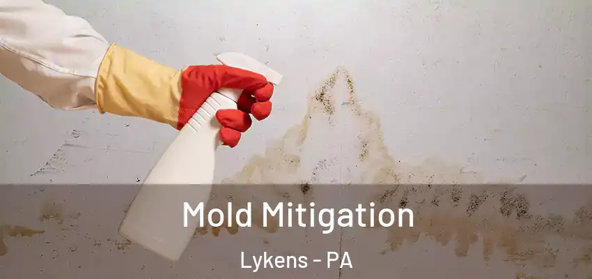 Mold Mitigation Lykens - PA
