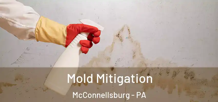 Mold Mitigation McConnellsburg - PA