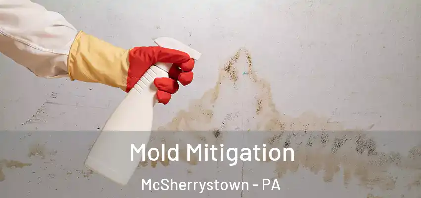 Mold Mitigation McSherrystown - PA