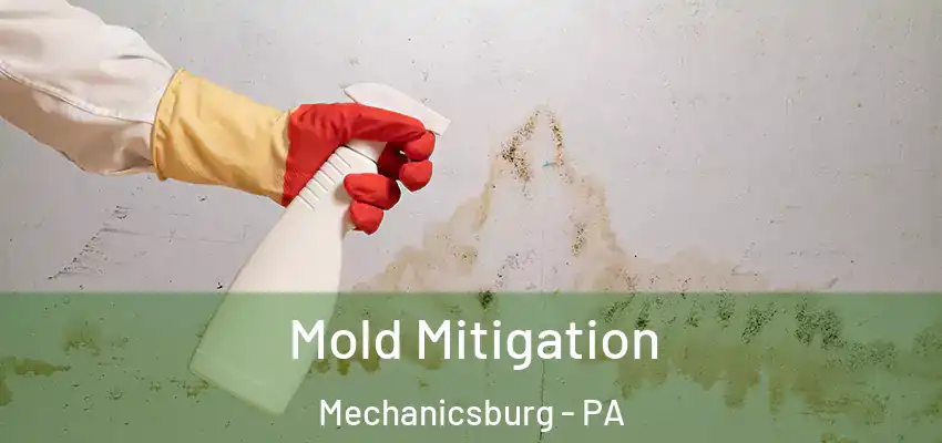  Mold Mitigation Mechanicsburg - PA