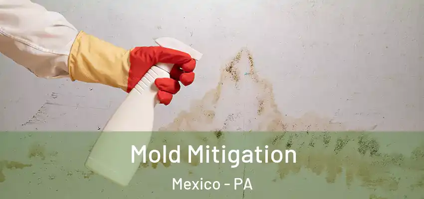Mold Mitigation Mexico - PA
