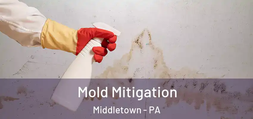 Mold Mitigation Middletown - PA