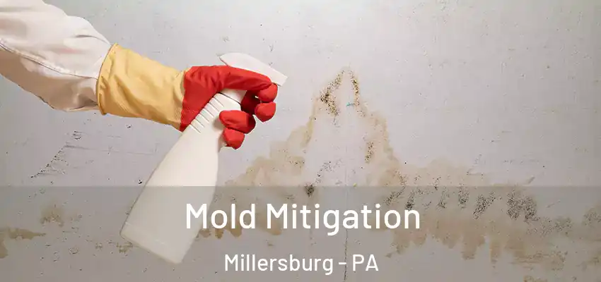 Mold Mitigation Millersburg - PA