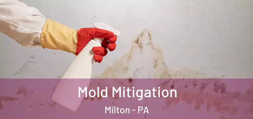 Mold Mitigation Milton - PA