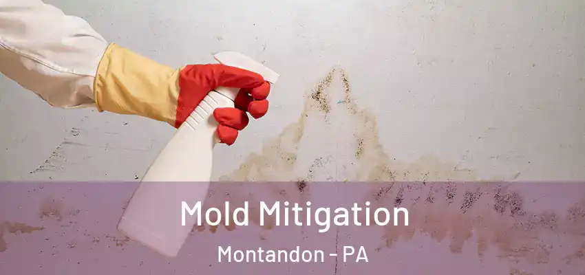 Mold Mitigation Montandon - PA