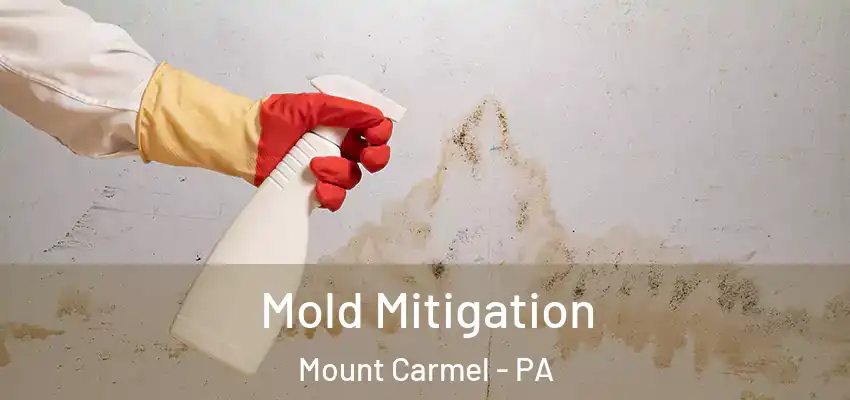 Mold Mitigation Mount Carmel - PA