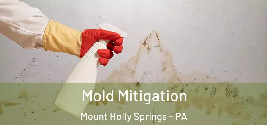  Mold Mitigation Mount Holly Springs - PA