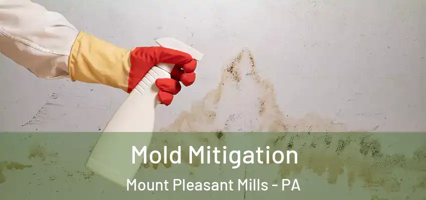  Mold Mitigation Mount Pleasant Mills - PA