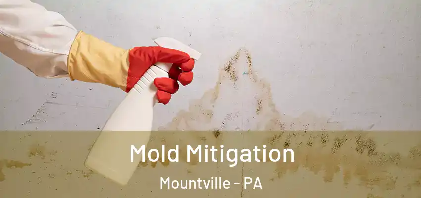Mold Mitigation Mountville - PA