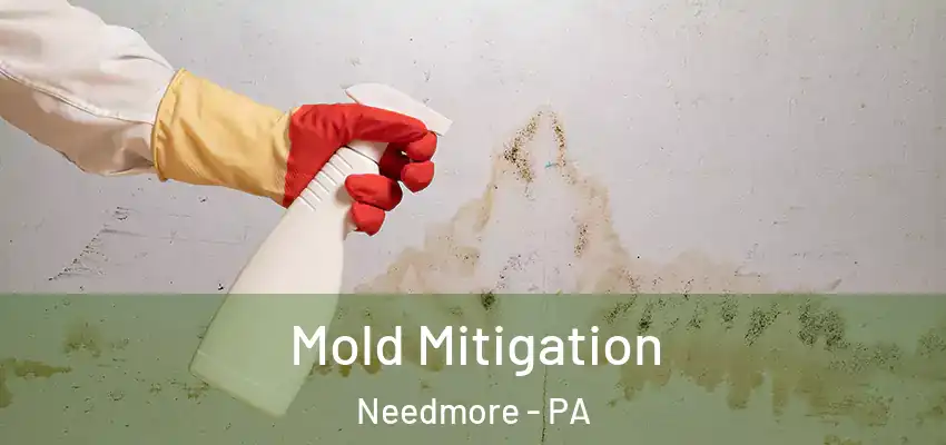 Mold Mitigation Needmore - PA