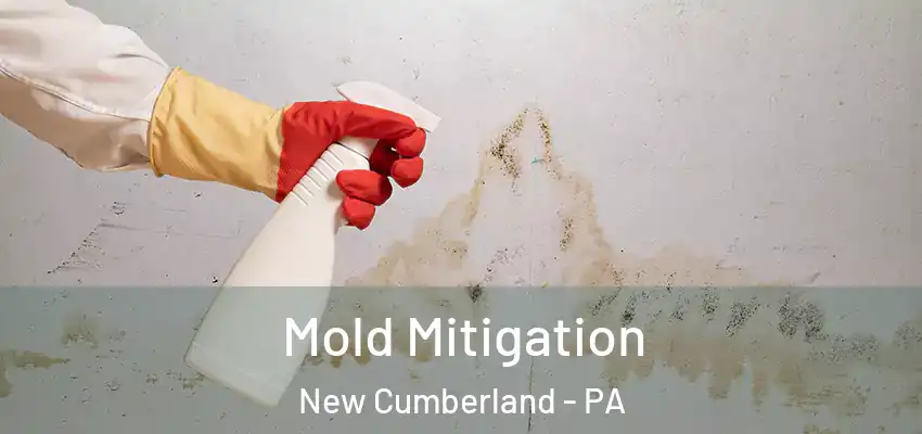  Mold Mitigation New Cumberland - PA