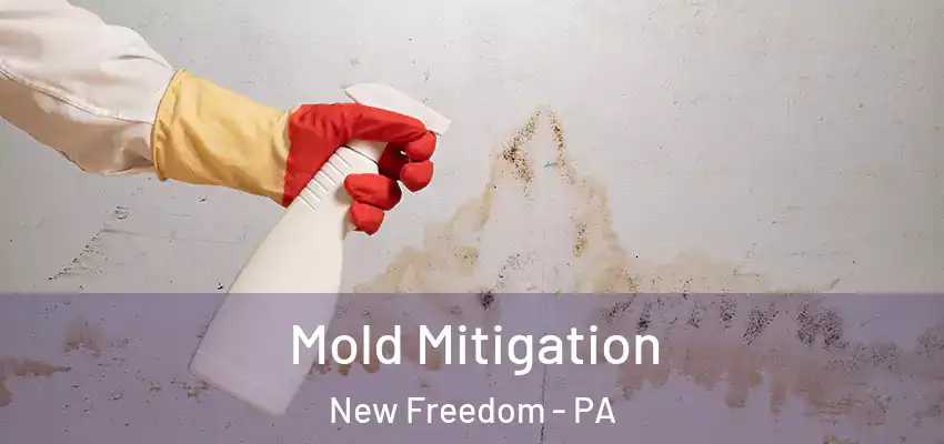 Mold Mitigation New Freedom - PA