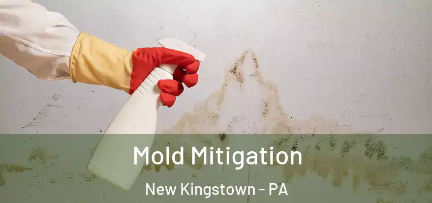 Mold Mitigation New Kingstown - PA