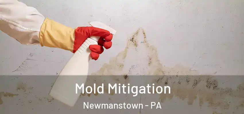  Mold Mitigation Newmanstown - PA