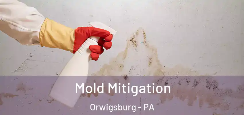  Mold Mitigation Orwigsburg - PA