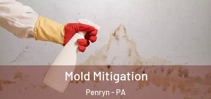Mold Mitigation Penryn - PA