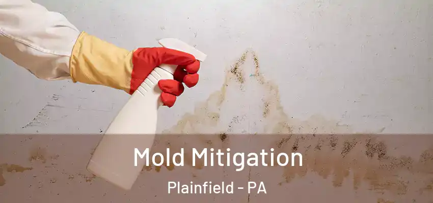 Mold Mitigation Plainfield - PA