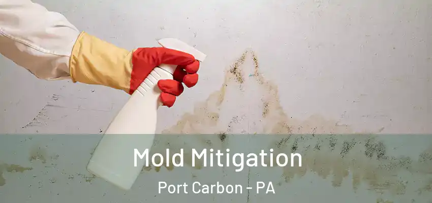  Mold Mitigation Port Carbon - PA