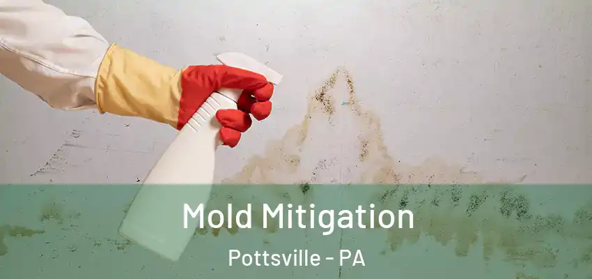  Mold Mitigation Pottsville - PA