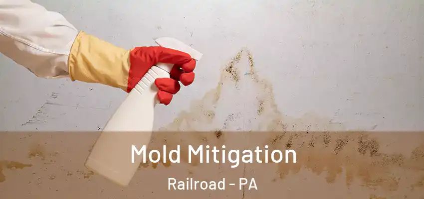 Mold Mitigation Railroad - PA