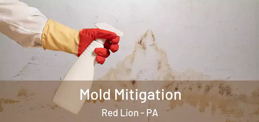 Mold Mitigation Red Lion - PA