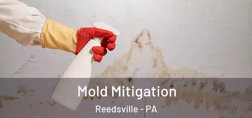 Mold Mitigation Reedsville - PA