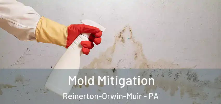  Mold Mitigation Reinerton-Orwin-Muir - PA