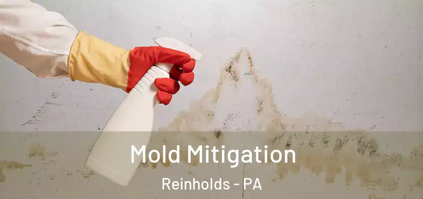  Mold Mitigation Reinholds - PA