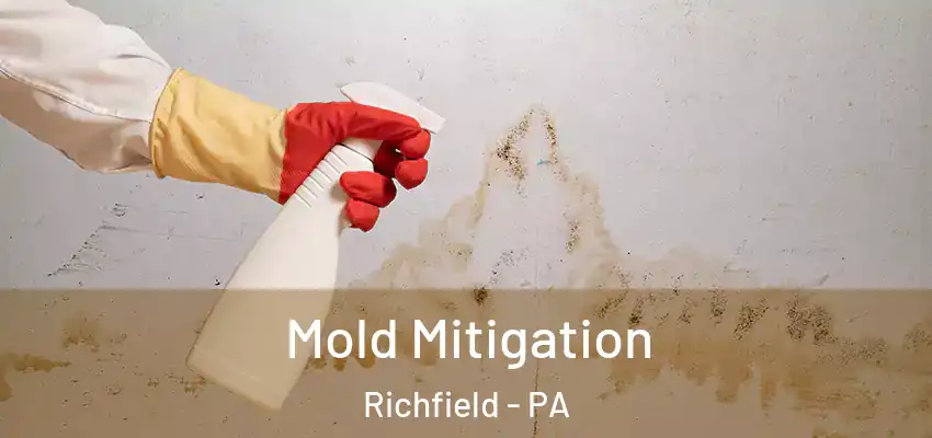 Mold Mitigation Richfield - PA