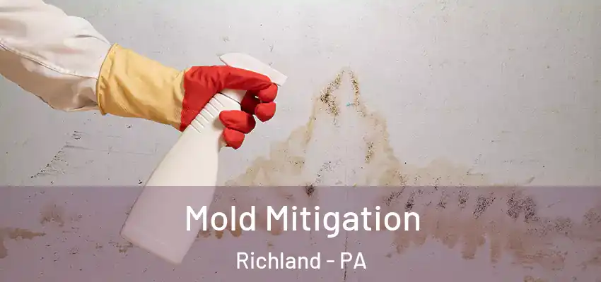 Mold Mitigation Richland - PA