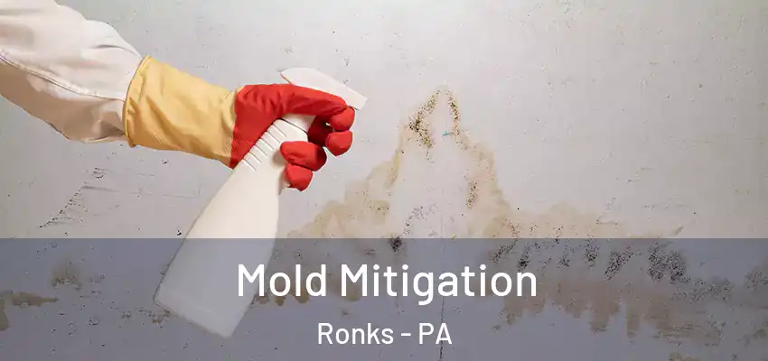 Mold Mitigation Ronks - PA