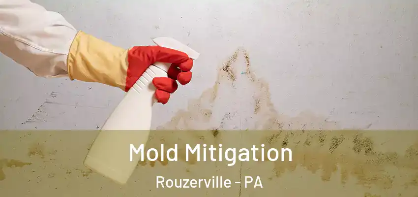 Mold Mitigation Rouzerville - PA
