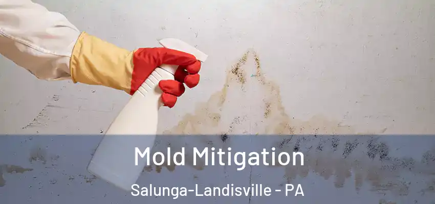 Mold Mitigation Salunga-Landisville - PA