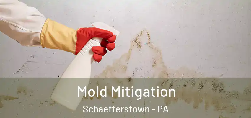  Mold Mitigation Schaefferstown - PA