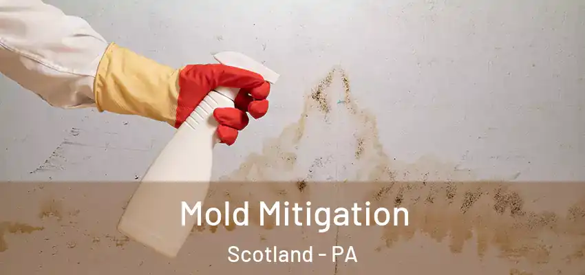 Mold Mitigation Scotland - PA