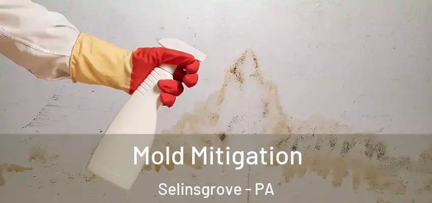 Mold Mitigation Selinsgrove - PA